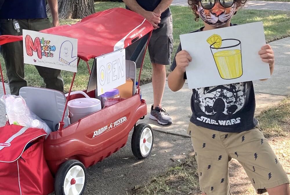 S11_LemonadeStand